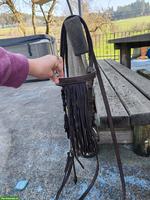 Zaum mit Trense, Gr. Warmblut