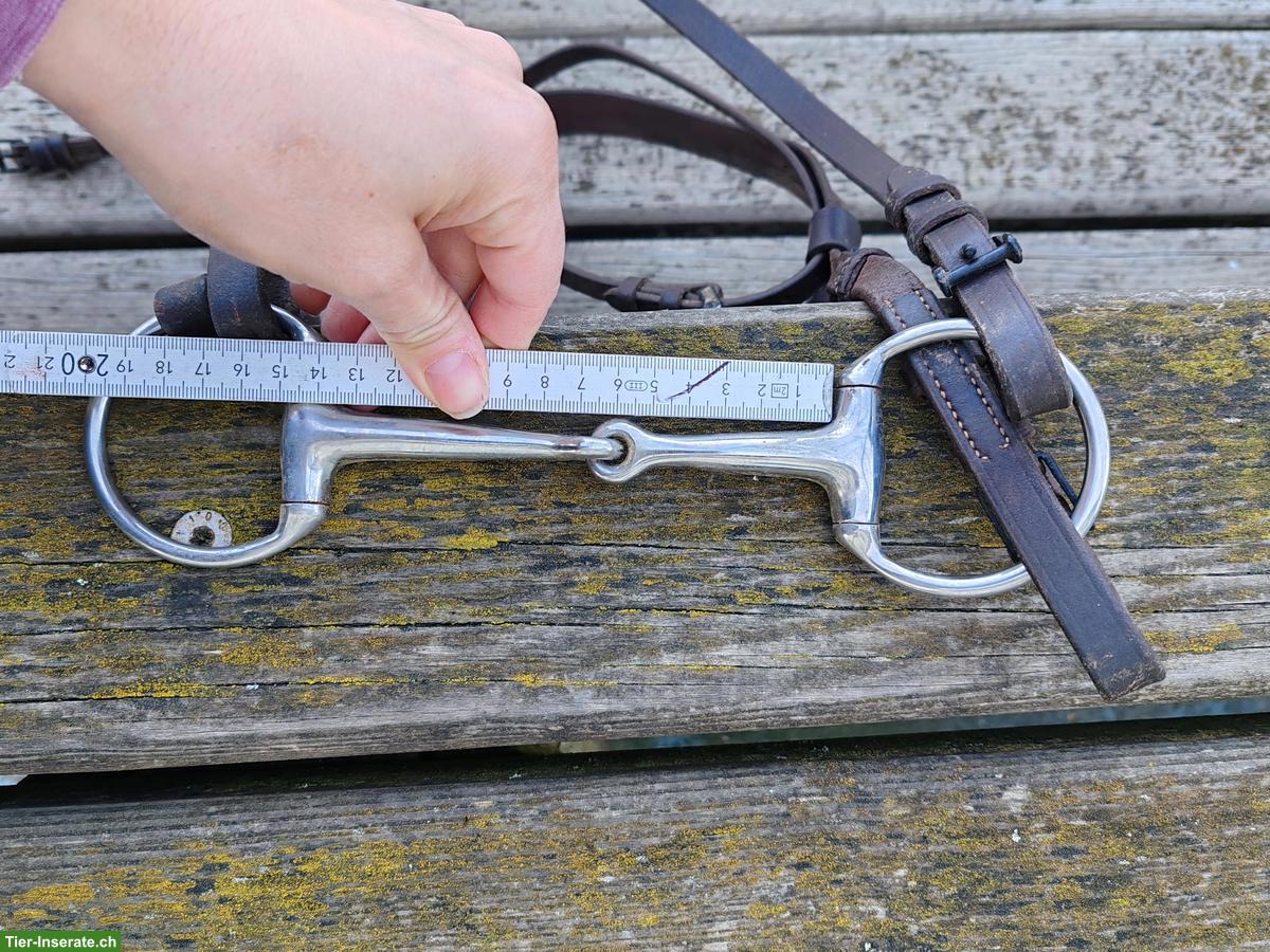 Bild 2: Zaum mit Trense, Gr. Warmblut