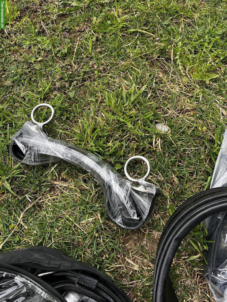 Bild 2: Brustblattgeschirr Pony Einspänner zu verkaufen