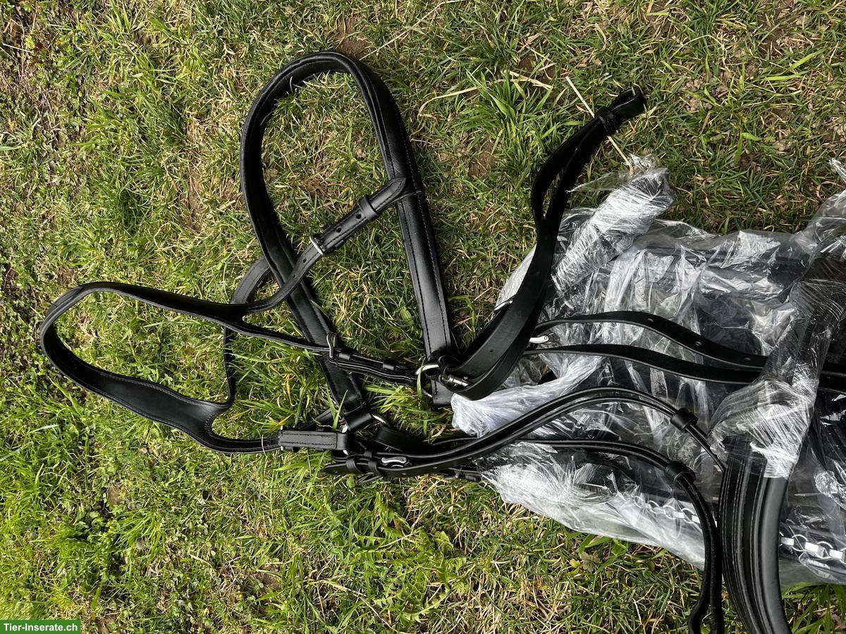 Bild 3: Brustblattgeschirr Pony Einspänner zu verkaufen