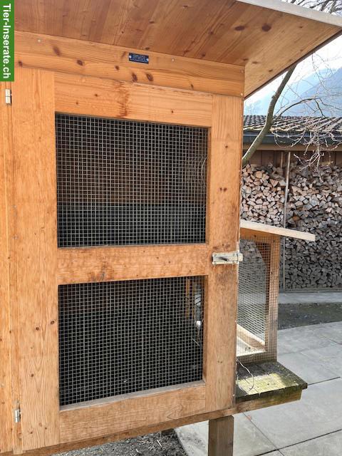 Bild 2: Kaninchenstall, doppelstöckig, zu verkaufen