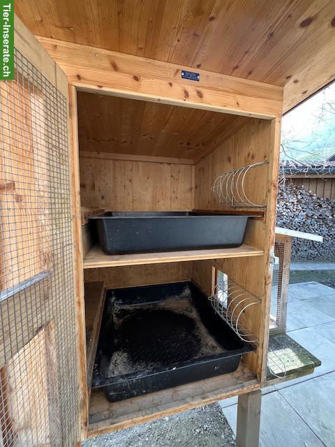 Bild 3: Kaninchenstall, doppelstöckig, zu verkaufen