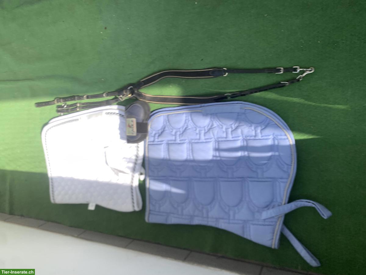 Bild 2: Pferdezubehör zu verkaufen