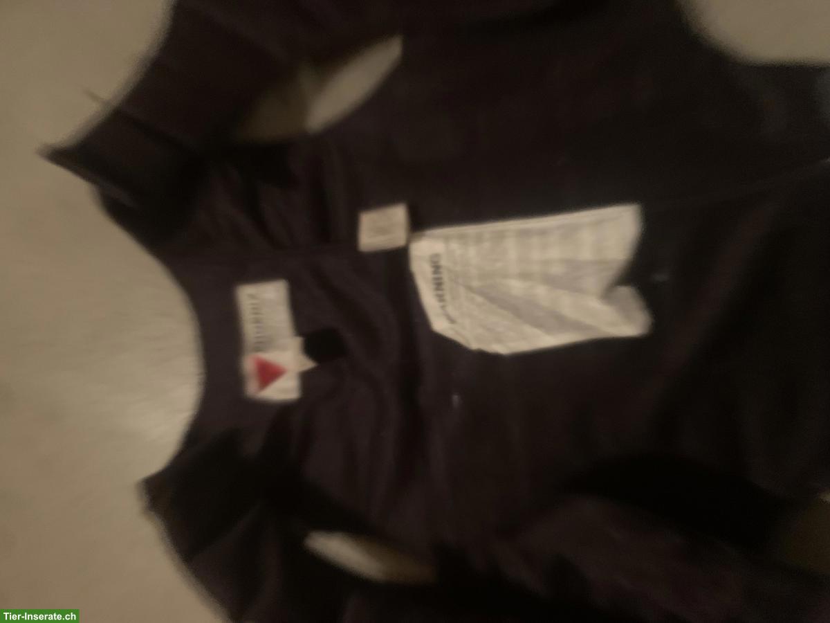 Bild 4: Pferdezubehör günstig zu verkaufen