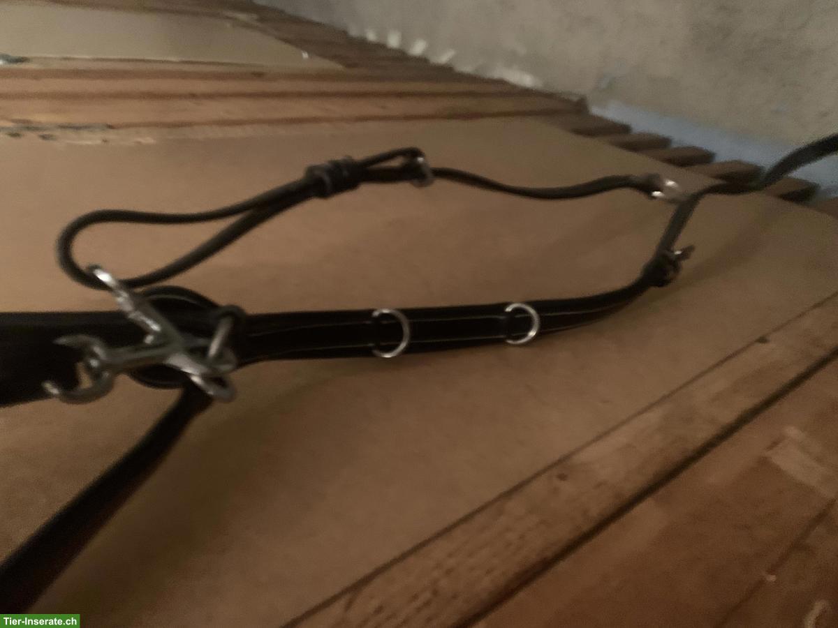 Bild 8: Pferdezubehör günstig zu verkaufen