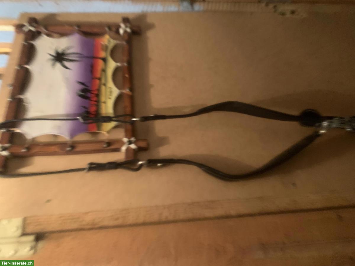 Bild 9: Pferdezubehör günstig zu verkaufen