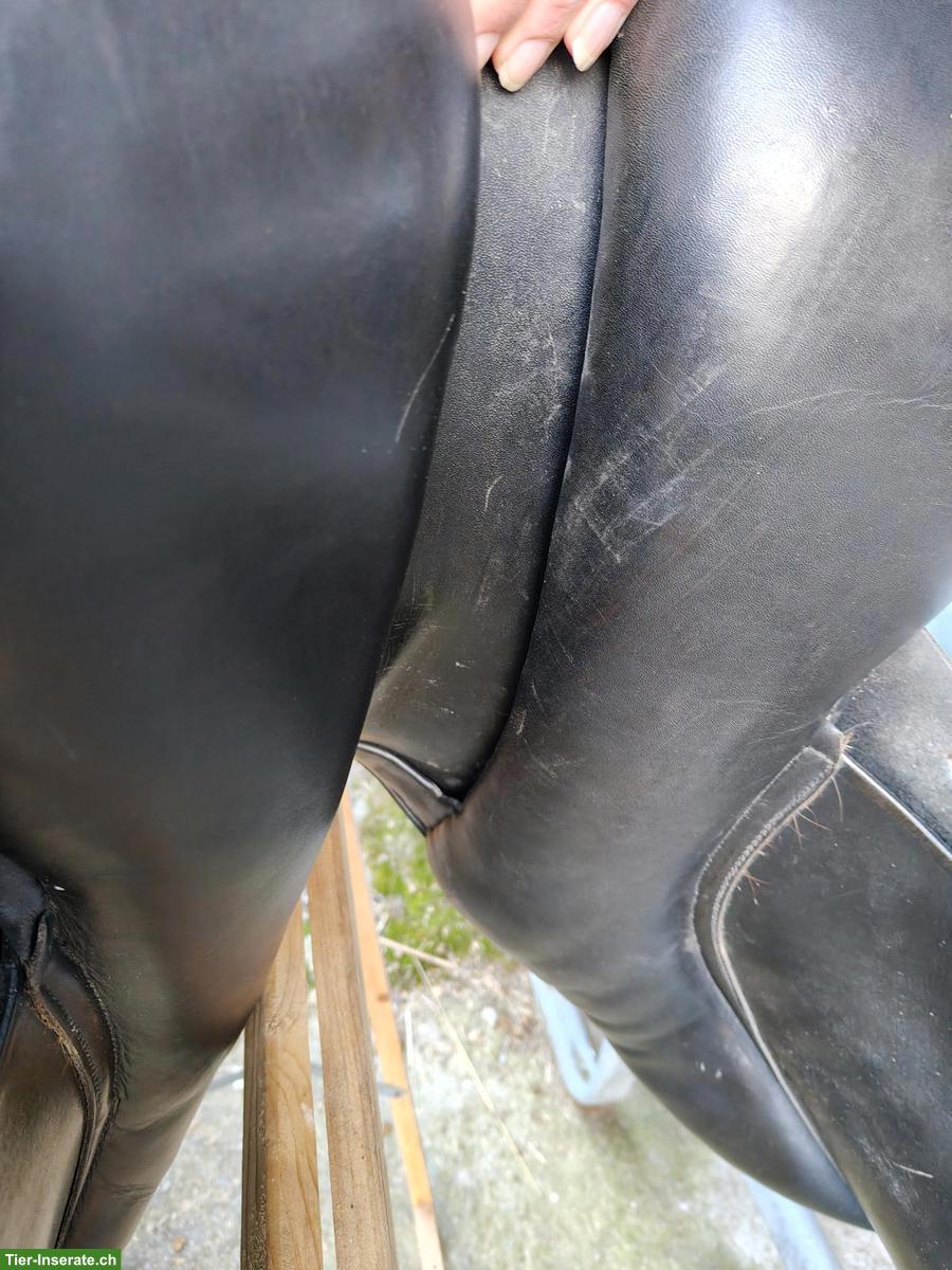 Bild 3: 2 Spirig Ranger Sättel, 17.5 Zoll, für breite Pferde