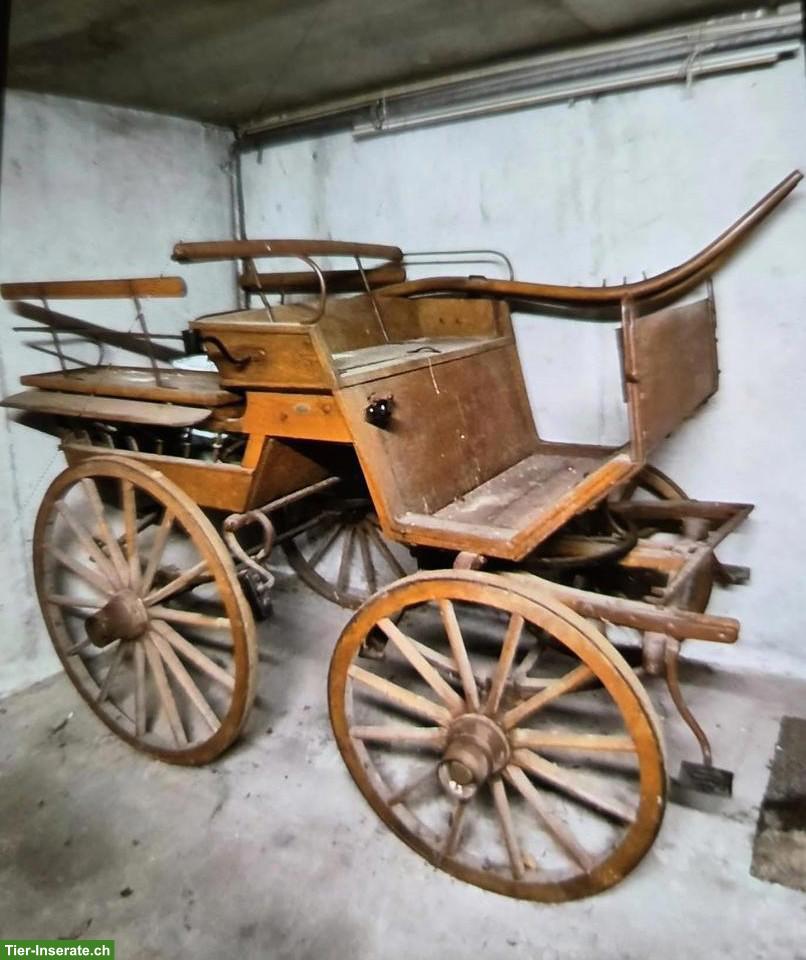 Einspännige Kutsche / Bernerwagen Break zu verkaufen