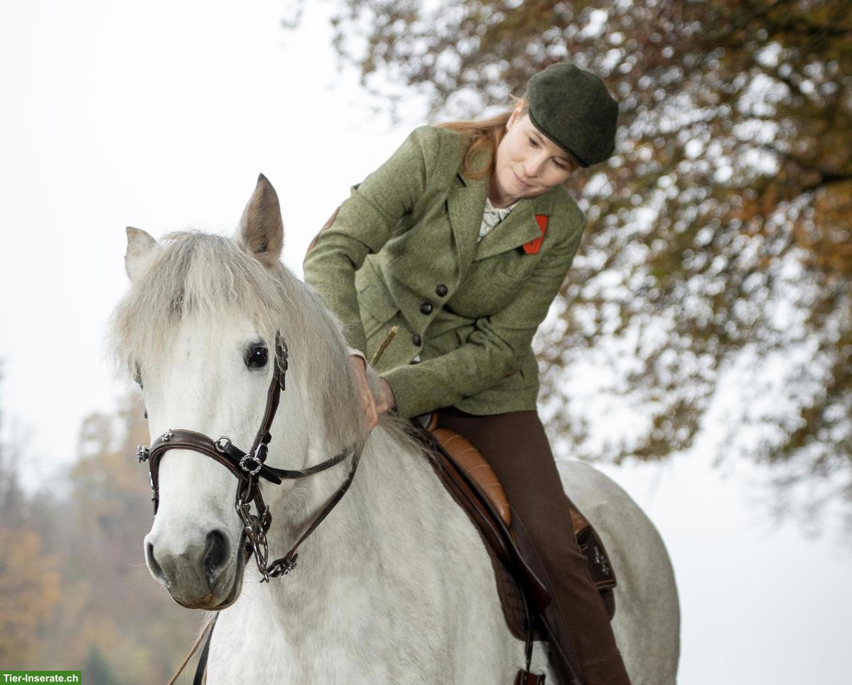 Bild 2: Bieten Reitbeteiligung in Merenschwand im Aargau