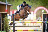 Berittplatz und/oder mobiler Beritt Dressur/Springen, Windlach ZH