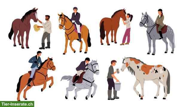 Kinderreitferien Frühlingslager 2026, Reiten & Spass pur