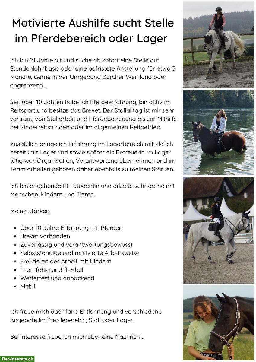 Motivierte Aushilfe sucht Stelle im Bereich Pferde
