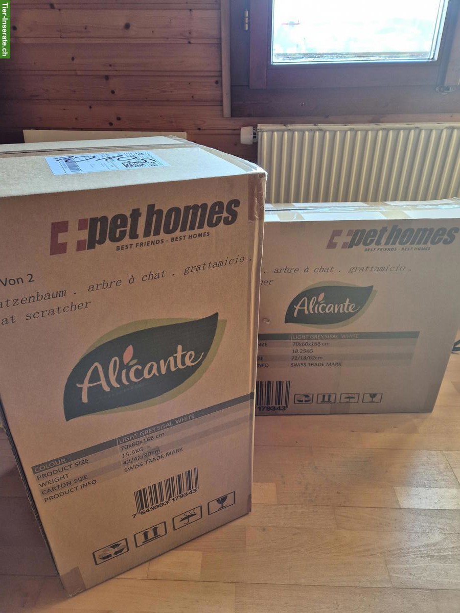 Bild 2: Neuer Katzenbaum, sehr stabil