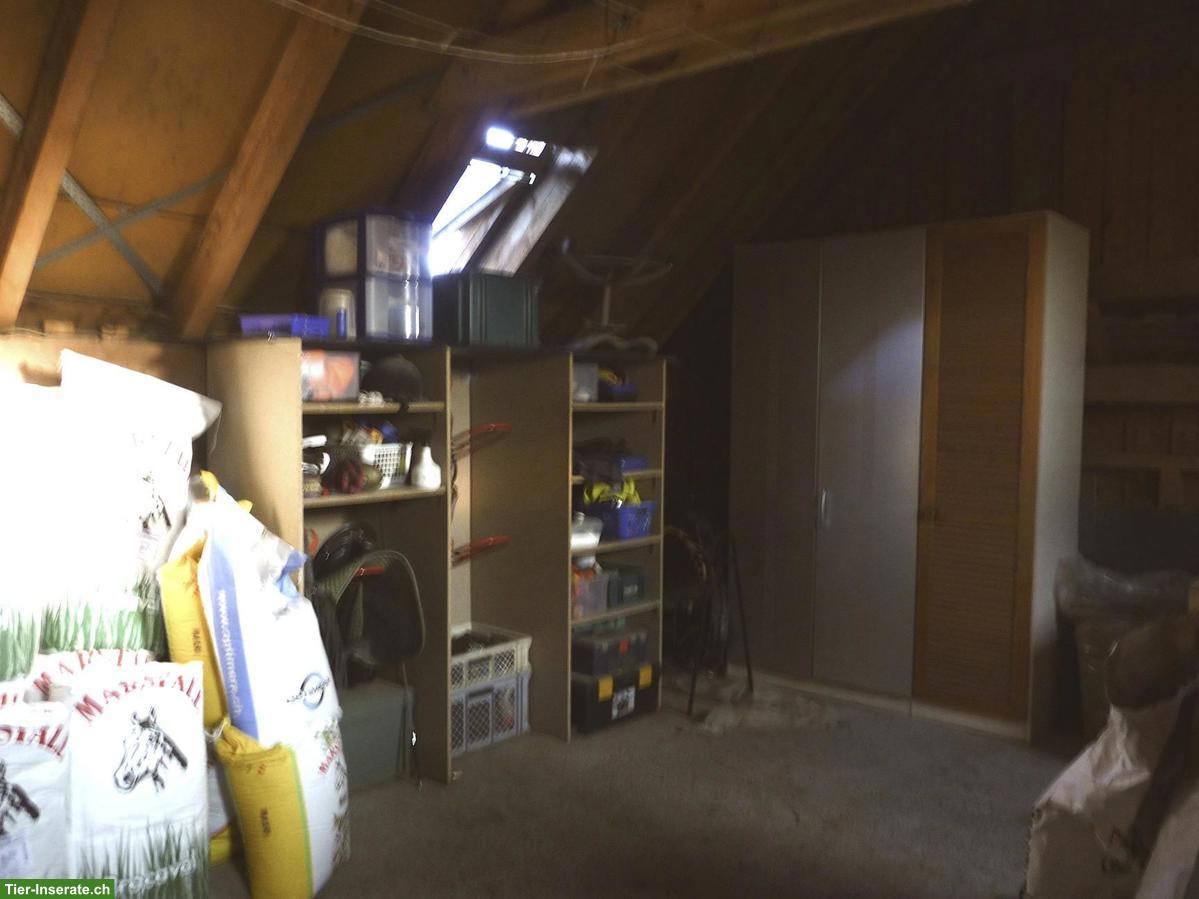 Bild 6: Offenstall Platz frei mit Auslaufbox in Mühlau AG