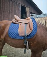 Prestige Atena Evo HP, 18/35, VS VSD Sattel, Wanderreitsattel