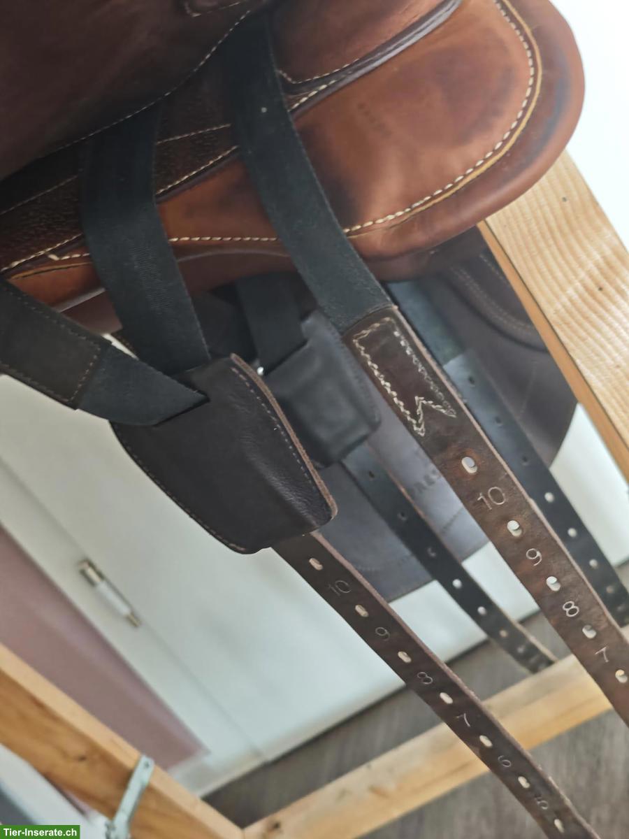 Bild 10: Prestige Atena Evo HP, 18/35, VS VSD Sattel, Wanderreitsattel