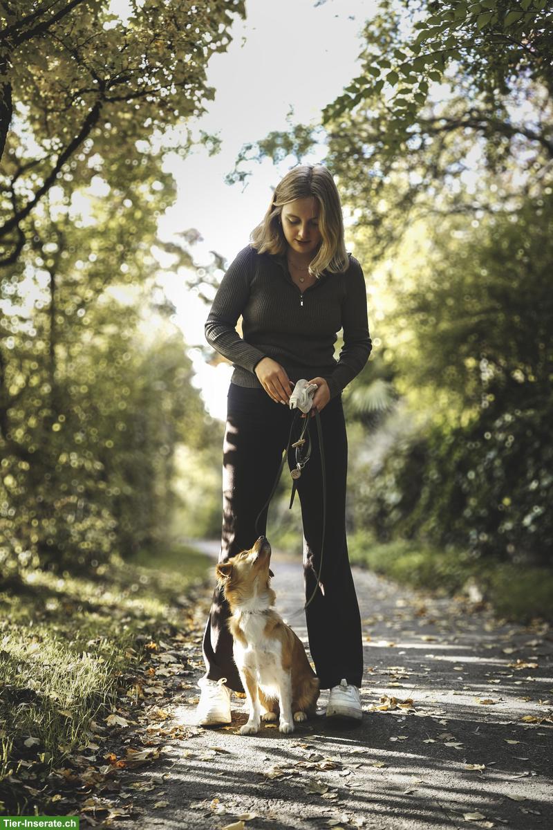 Exklusive 🐶 Hundebetreuung mit Herz & Verstand - 10 Min. von Bern