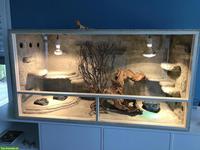 Großes OSB-Terrarium 150×60×80cm komplett mit Zubehör