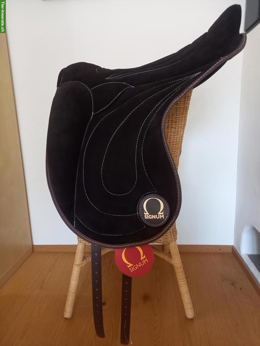 Signum Paddle zu verkaufen