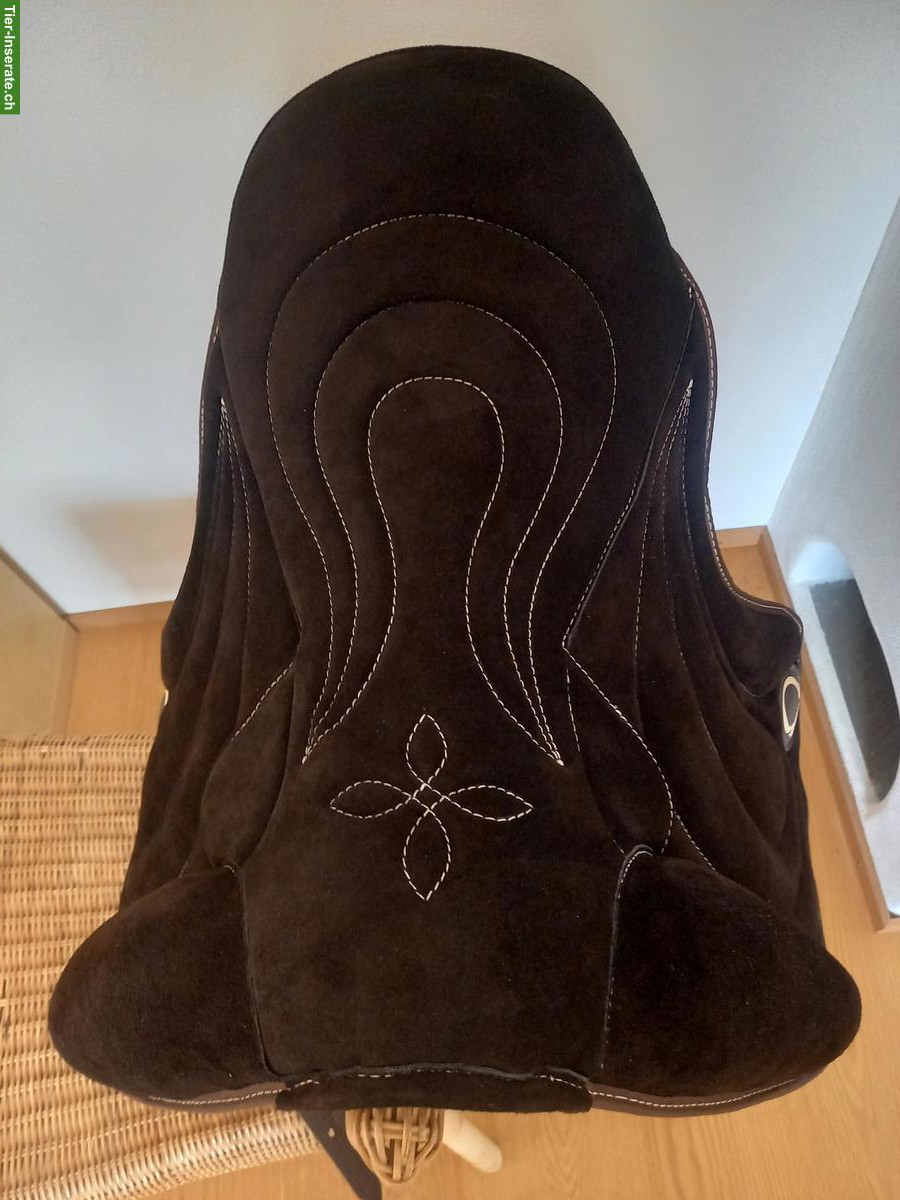 Bild 2: Signum Paddle zu verkaufen