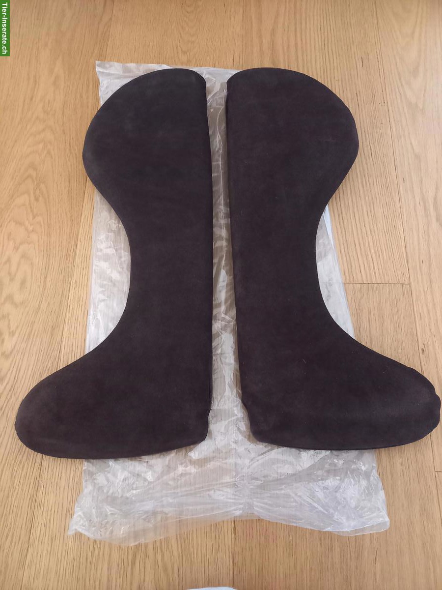 Bild 3: Signum Paddle zu verkaufen