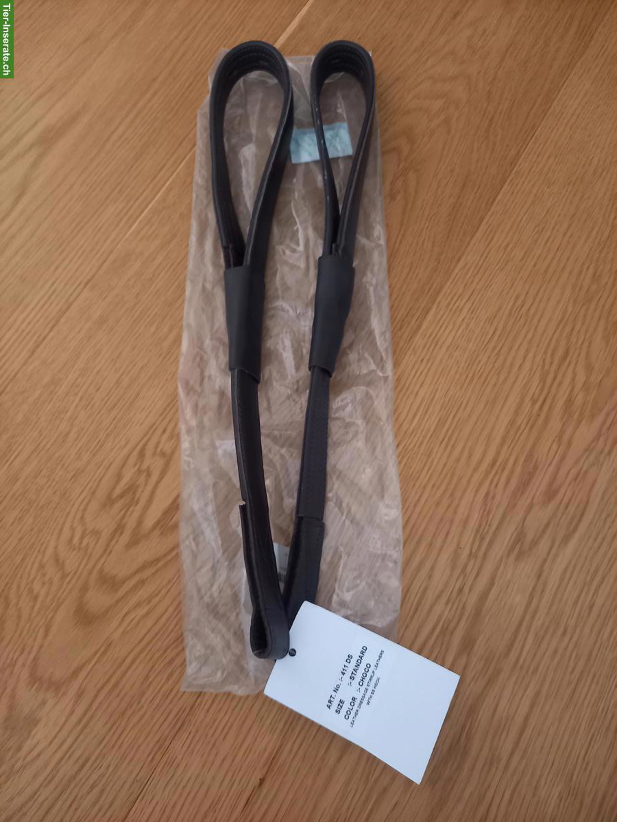 Bild 4: Signum Paddle zu verkaufen