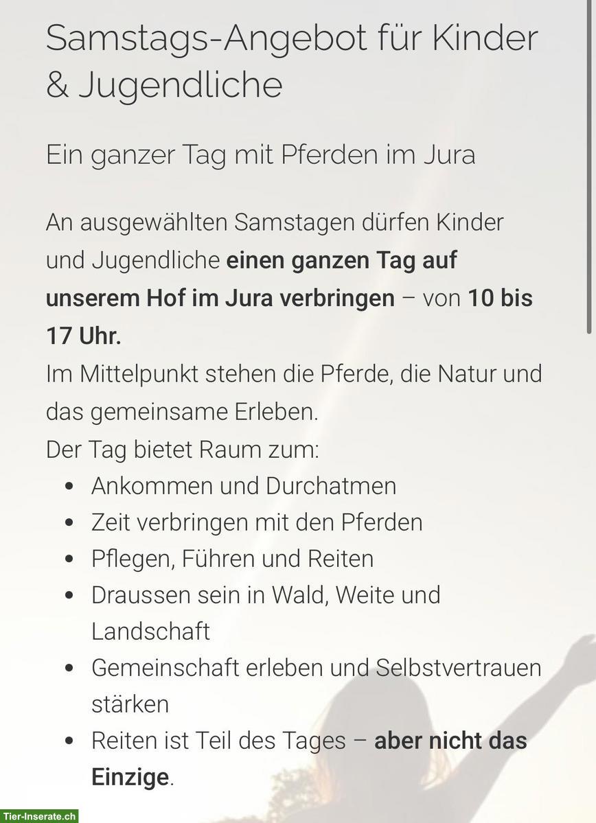 Auszeit vom Alltag für Kinder & Jugendliche im Berner Jura