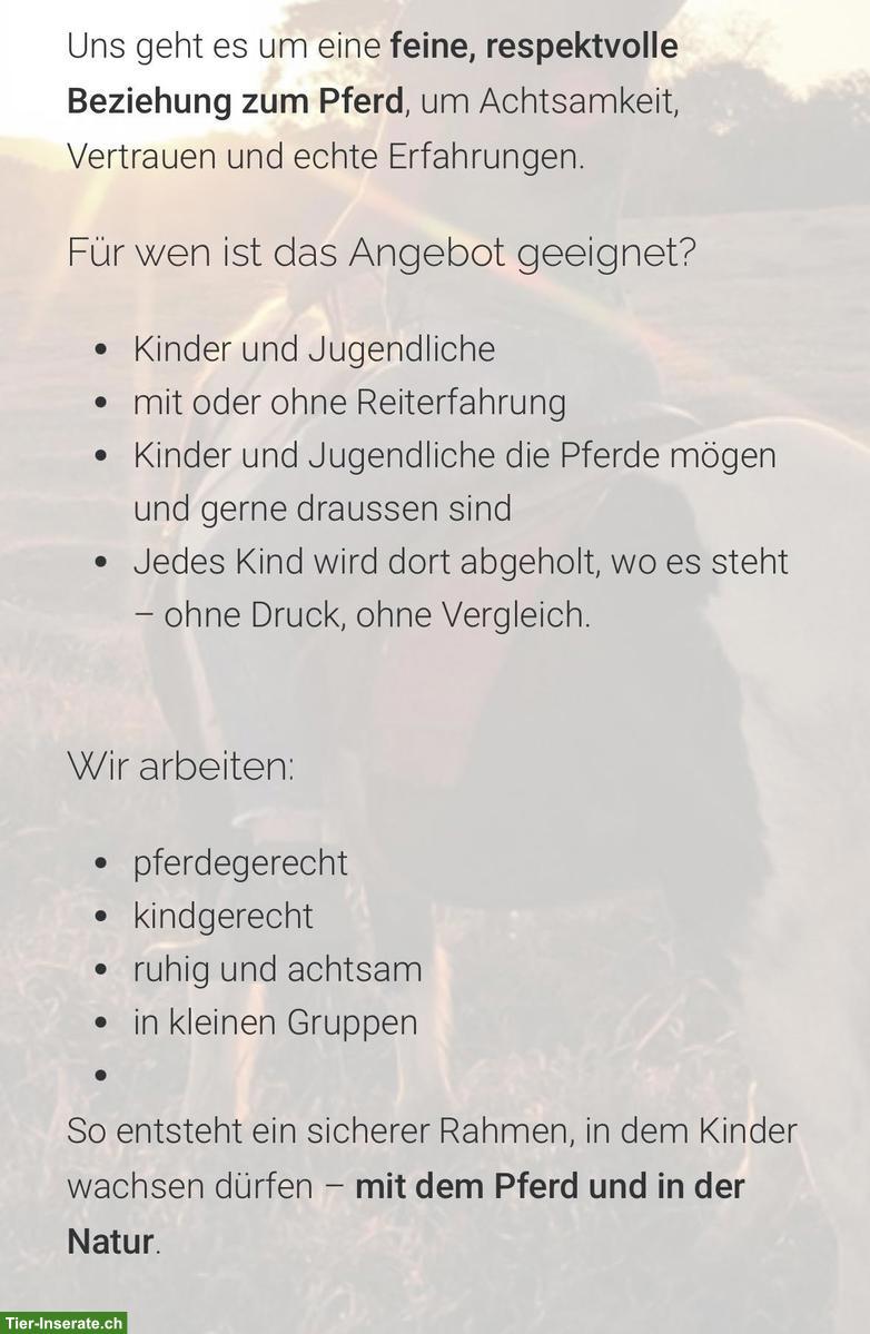 Bild 2: Auszeit vom Alltag für Kinder & Jugendliche im Berner Jura