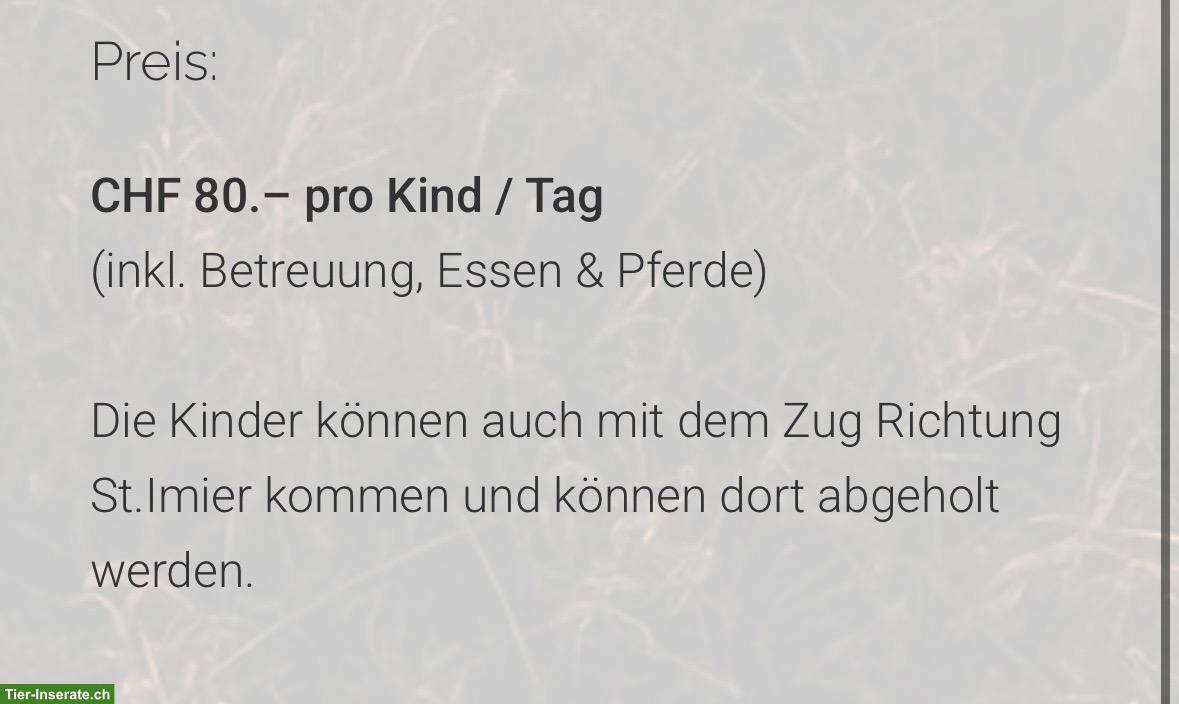 Bild 3: Auszeit vom Alltag für Kinder & Jugendliche im Berner Jura