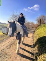 Allergiker Stall gesucht in der Ostschweiz