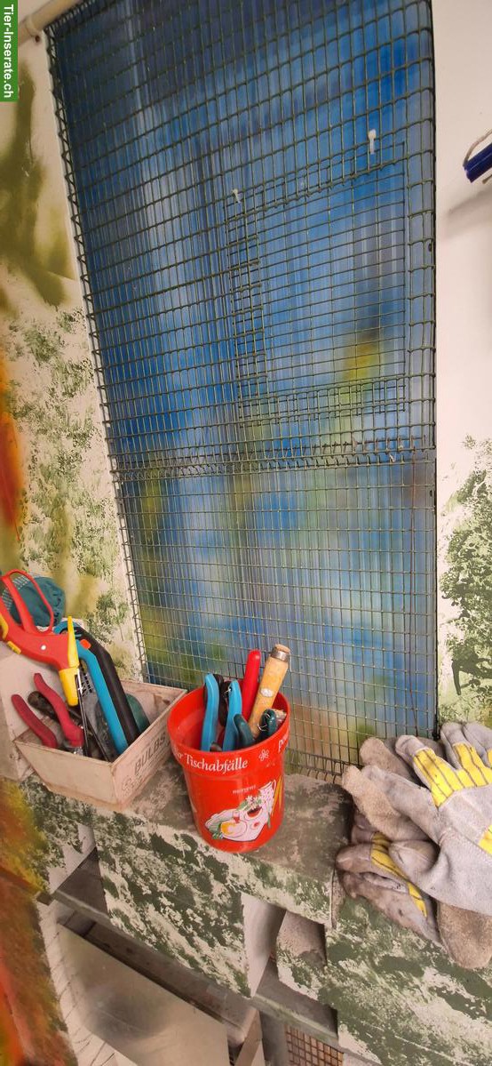 Bild 4: Tierhaus/Vogelhaus mit Standheizung, für Papagei geeignet