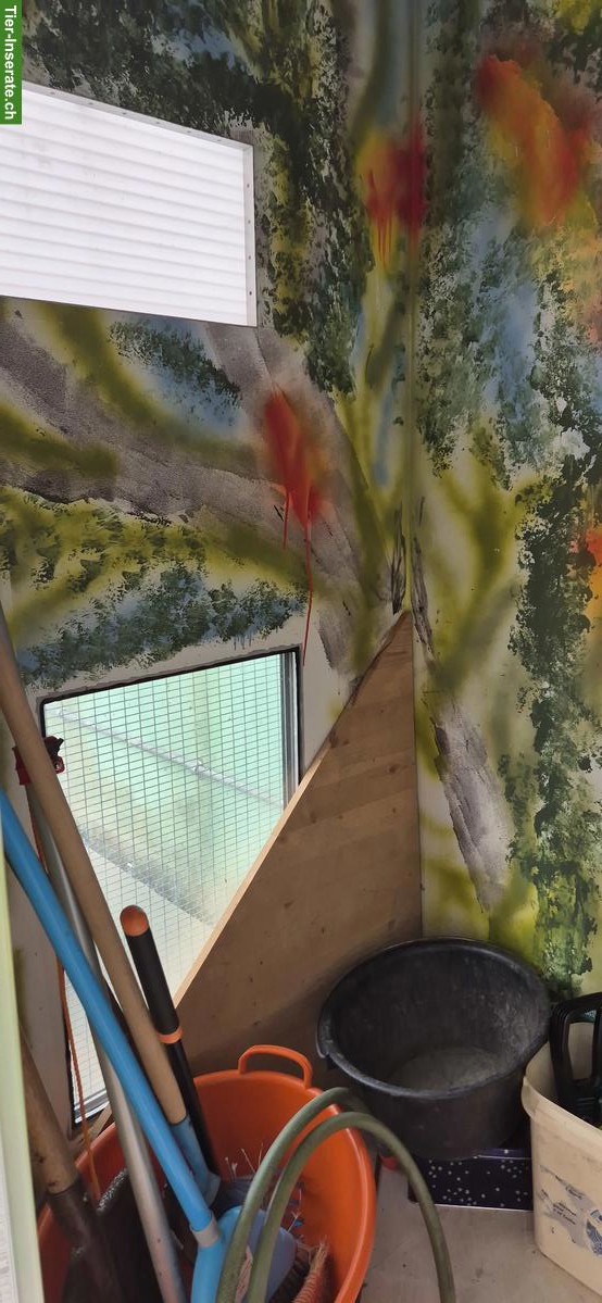 Bild 5: Tierhaus/Vogelhaus mit Standheizung, für Papagei geeignet