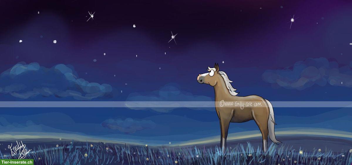 Erfahrene Reiterin bietet Aushilfe für dein Pferd