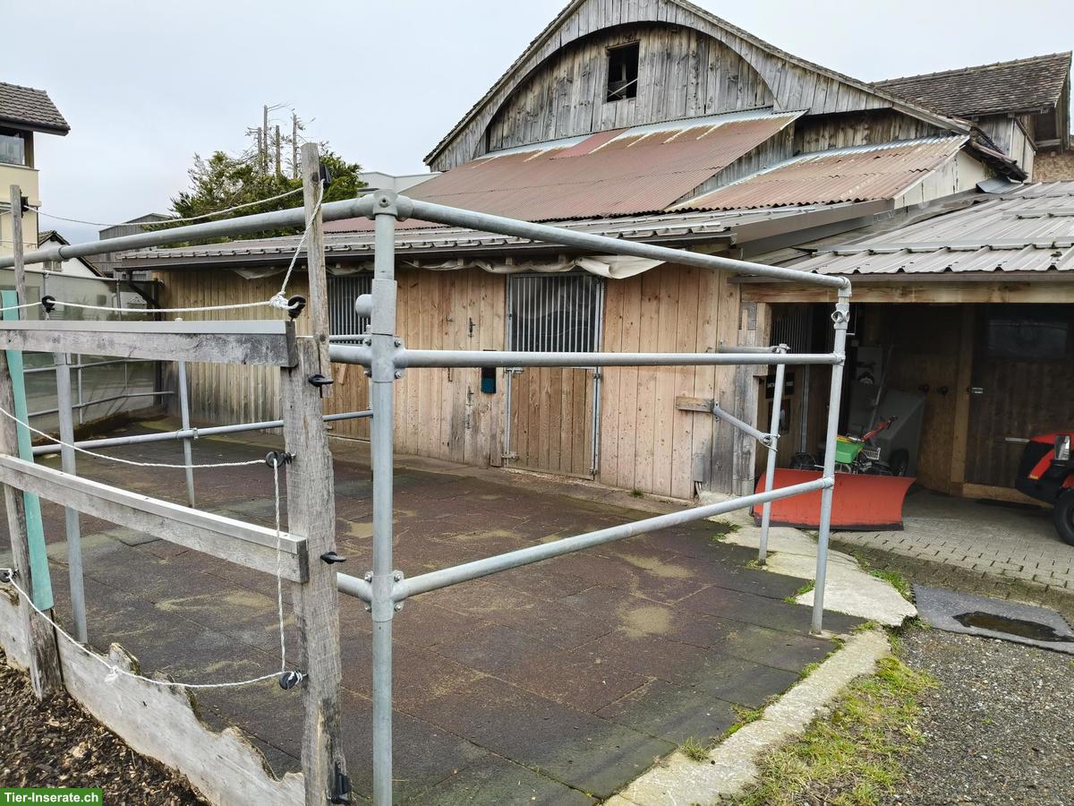 Pferdeboxen für Selbstversorger in Ibach SZ