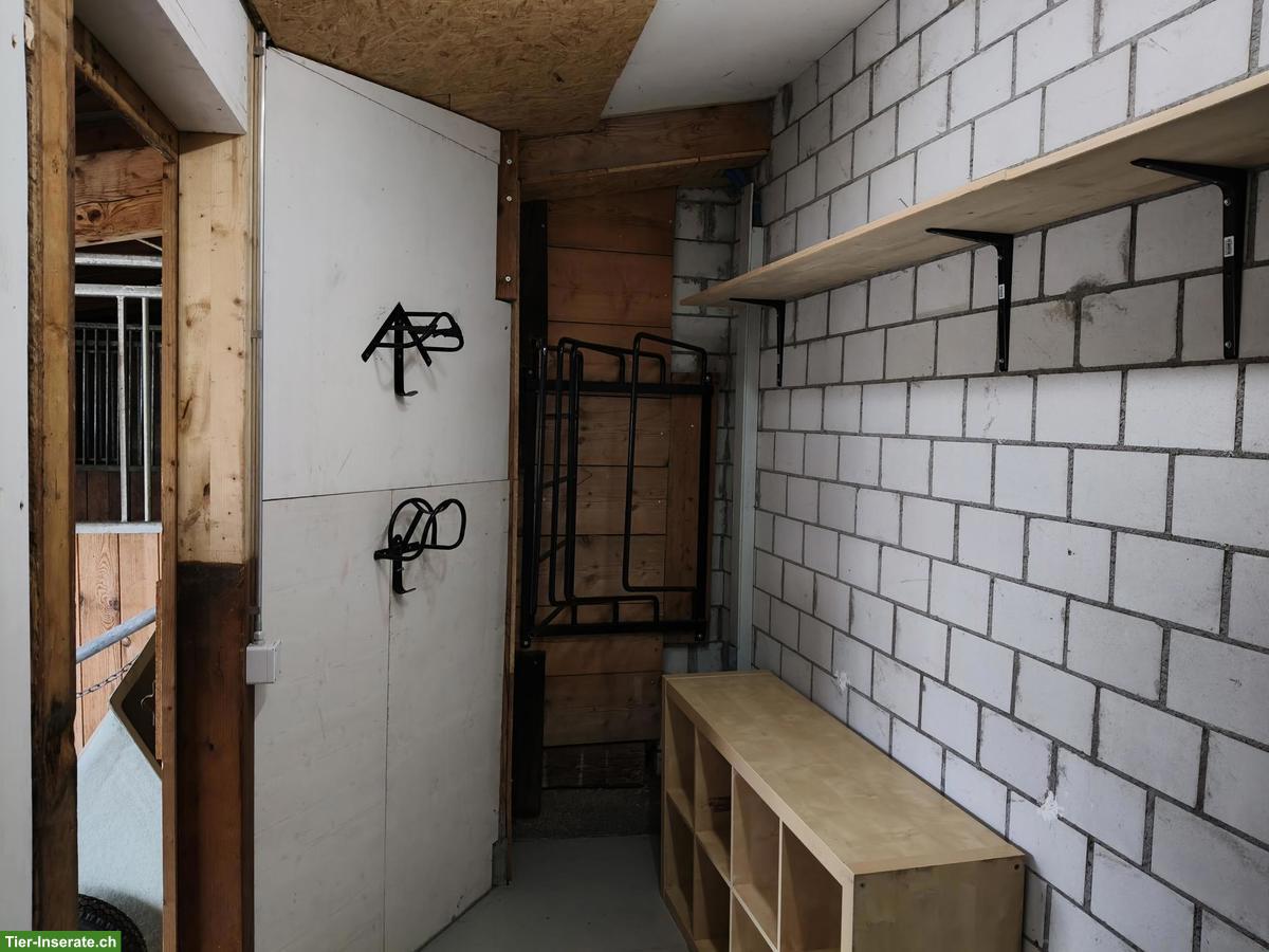 Bild 3: Pferdeboxen für Selbstversorger in Ibach SZ