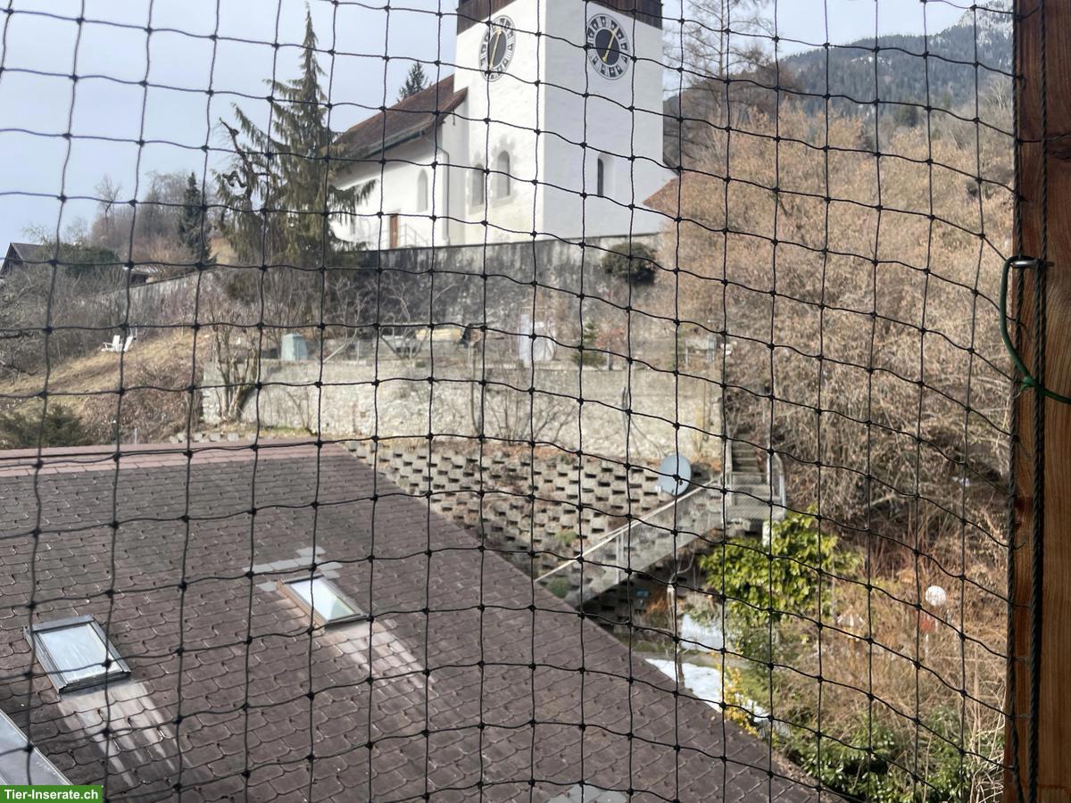 Grosses Katzenschutznetz zu verkaufen