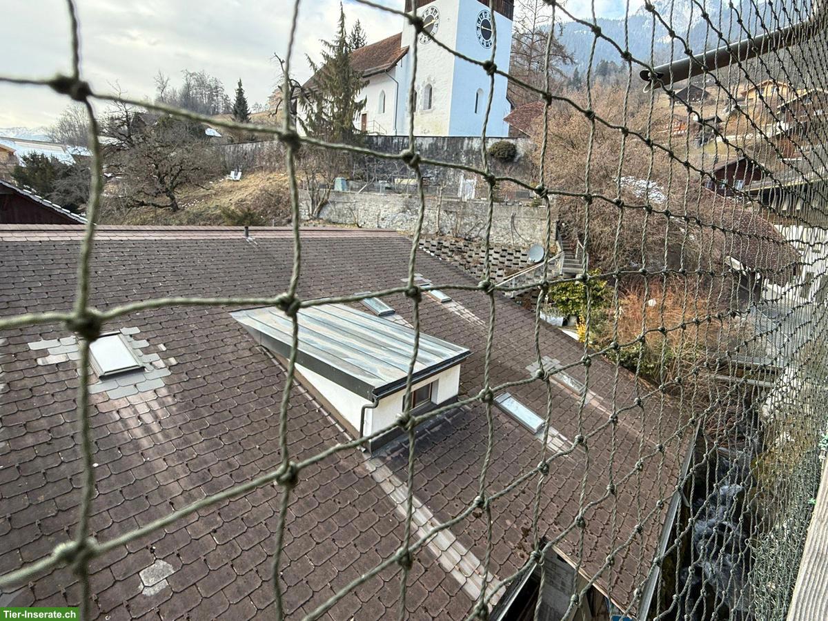 Bild 2: Grosses Katzenschutznetz zu verkaufen