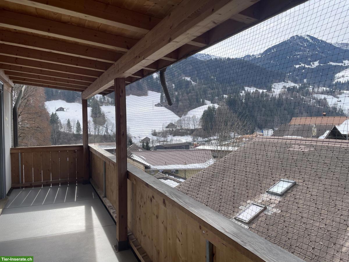 Bild 4: Grosses Katzenschutznetz zu verkaufen