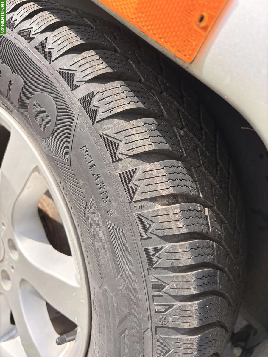 Bild 10: 2er Pferdeanhänger Camp-Let A2 Mustang Elite zu verkaufen