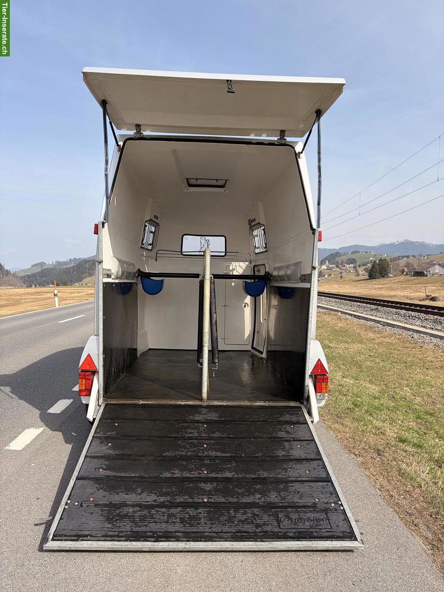 Bild 6: 2er Pferdeanhänger Camp-Let A2 Mustang Elite zu verkaufen