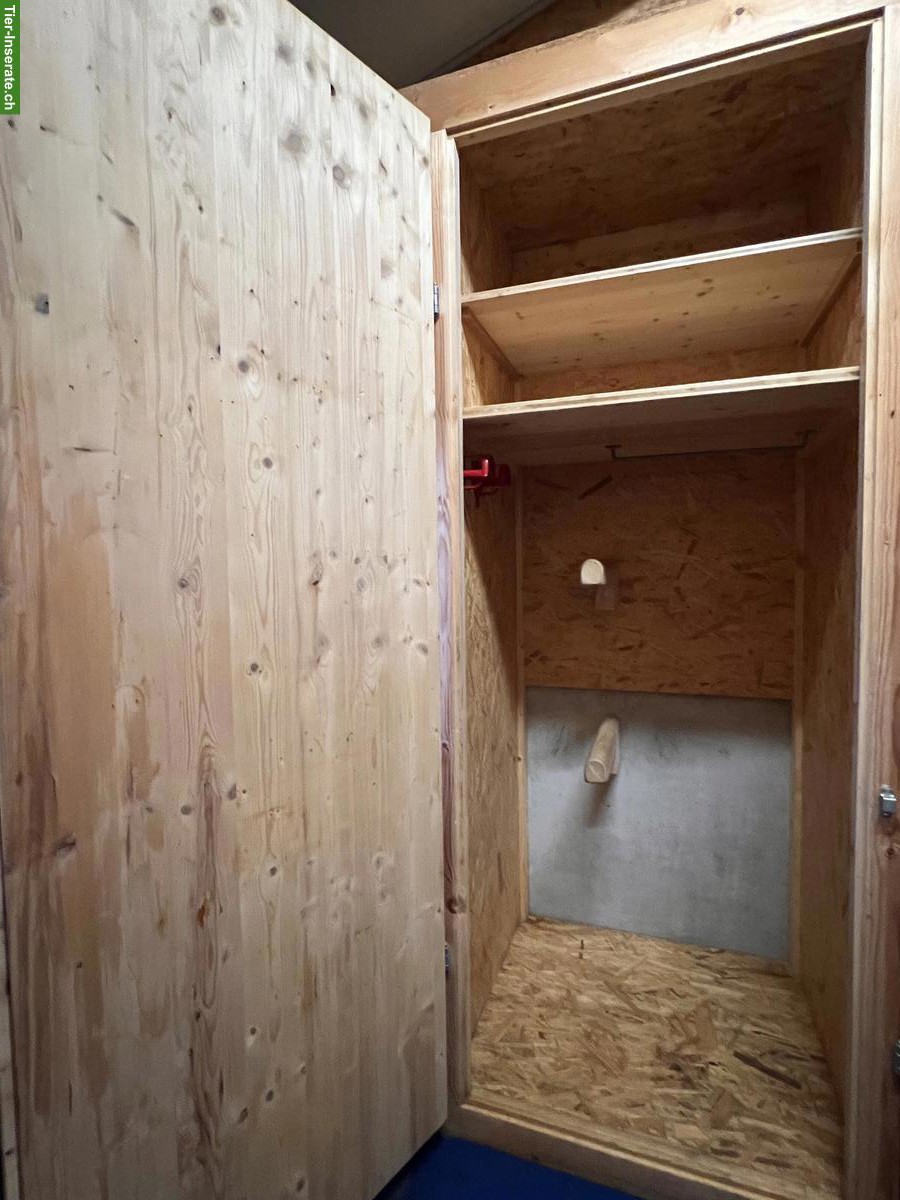 Bild 3: Grosszügige helle Pferdeboxe mit Auslauf in Wittenbach SG