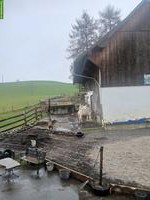 Offenstallplatz frei in Schönenberg ZH für Kleinpferde