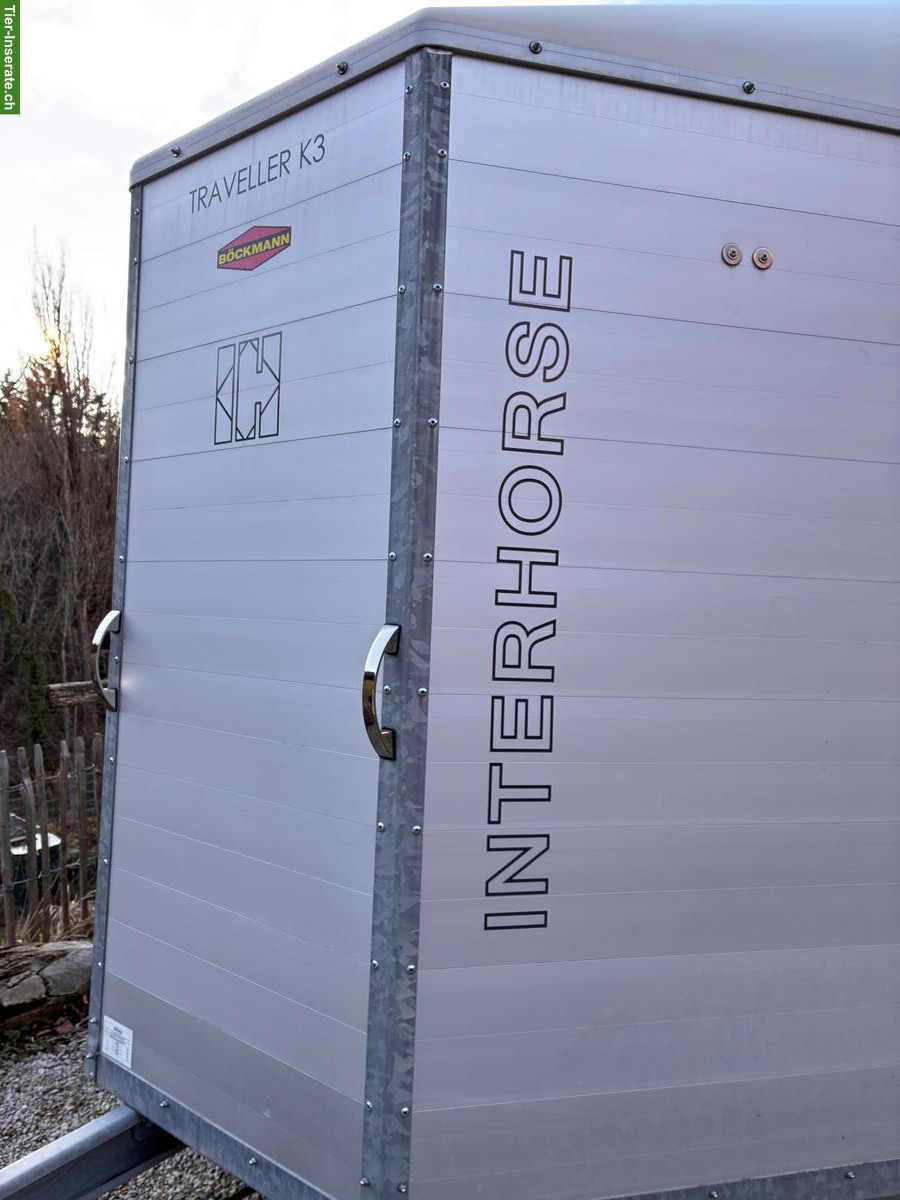 Bild 4: Kleinpferdeanhänger Böckmann Traveller K3, Alu