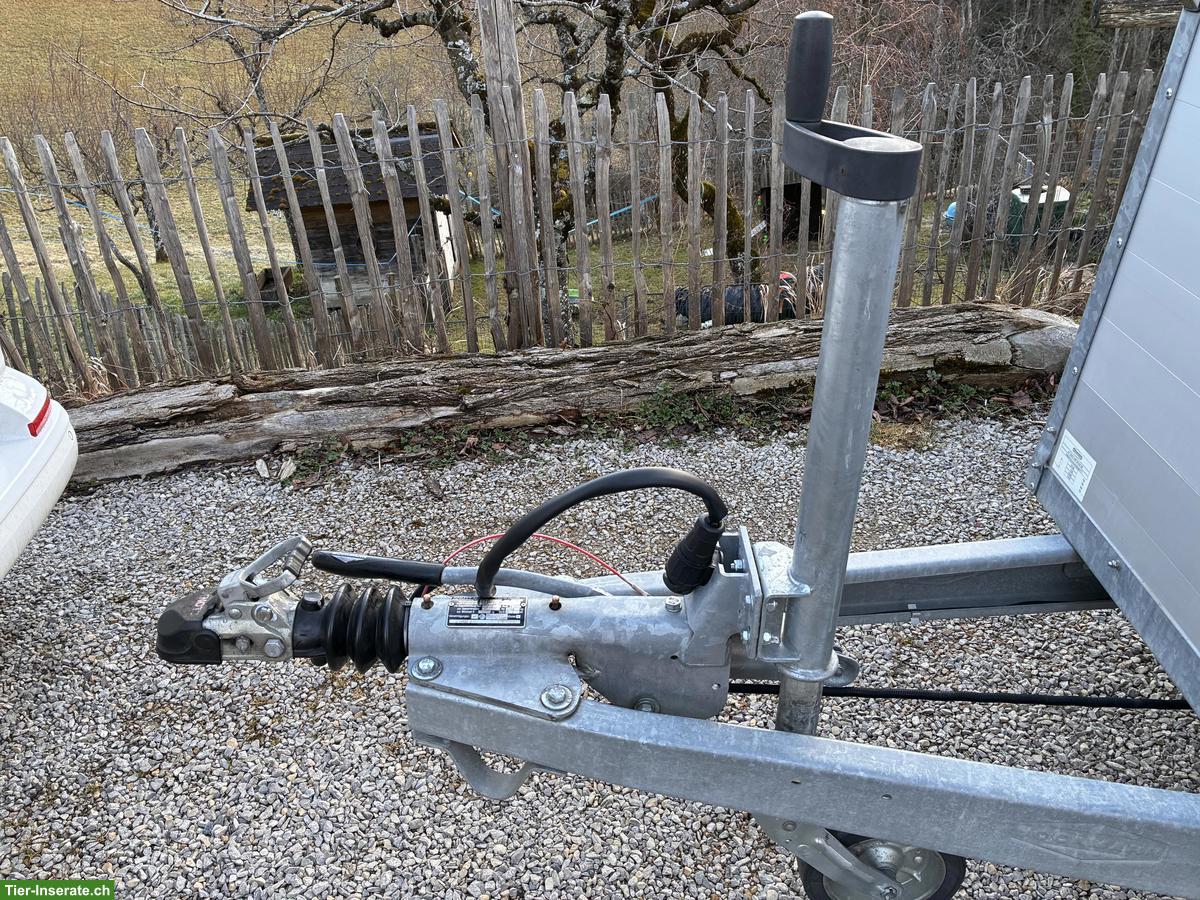 Bild 5: Kleinpferdeanhänger Böckmann Traveller K3, Alu