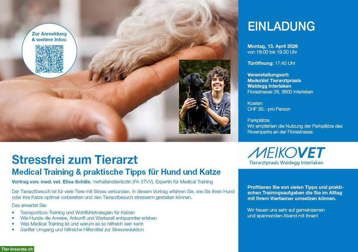 Stressfrei zum Tierarzt: Medical Training & praktische Tipps