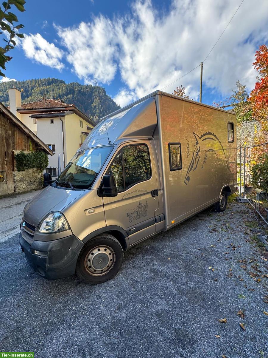 Opel Movano Pferdetransporter mit Böckmann Aufbau