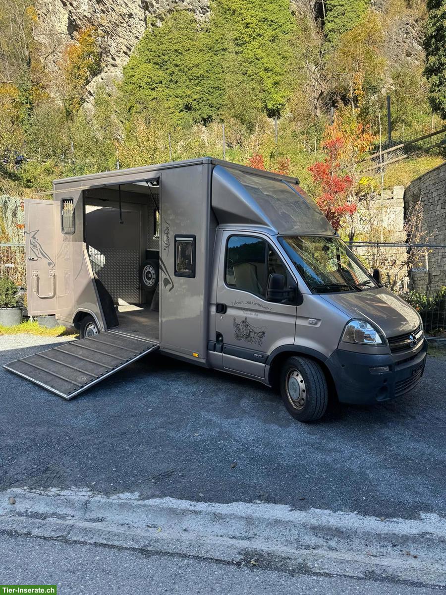 Bild 2: Opel Movano Pferdetransporter mit Böckmann Aufbau