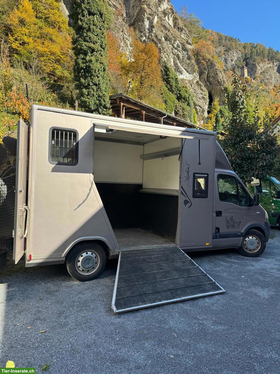 Bild 3: Opel Movano Pferdetransporter mit Böckmann Aufbau