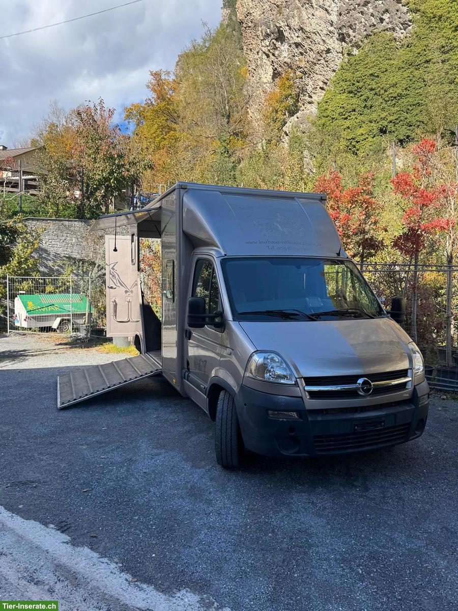 Bild 4: Opel Movano Pferdetransporter mit Böckmann Aufbau