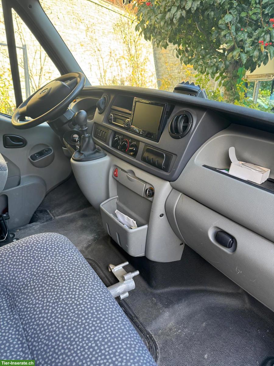 Bild 5: Opel Movano Pferdetransporter mit Böckmann Aufbau